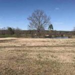 The Ultimate Guide to Buying Land in Arkansas