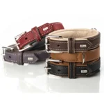 Leading Leather Dog Collar Brands Every Pet Store Should Know