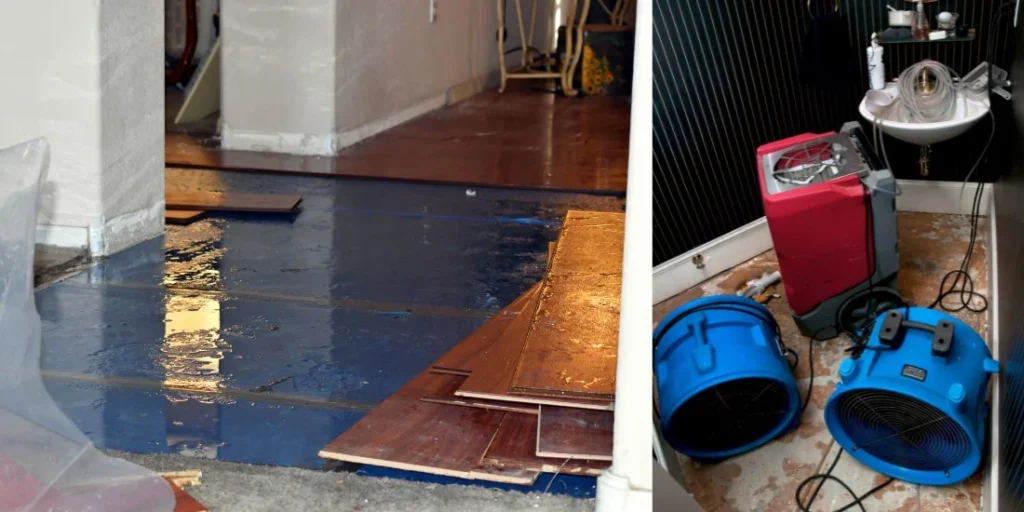 Understanding the Process of Basement Flood Cleanup: What You Need to Know