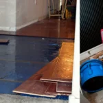 Understanding the Process of Basement Flood Cleanup: What You Need to Know