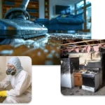 Preventing Damage with Professional Los Angeles Sewer Backup Cleaning