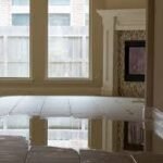 Flooded Basement Cleanup: Key Actions to Prevent Mold Growth