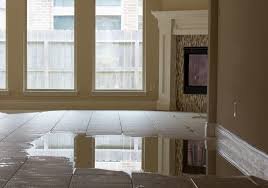 Flooded Basement Cleanup: Key Actions to Prevent Mold Growth