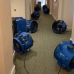 How a Water Damage Cleanup Service Helps Prevent Mold Growth